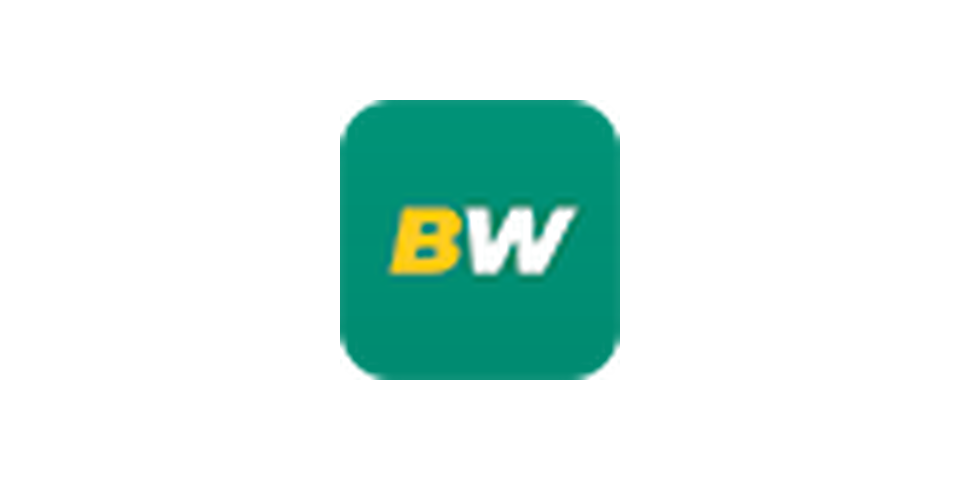 BetWinner logo