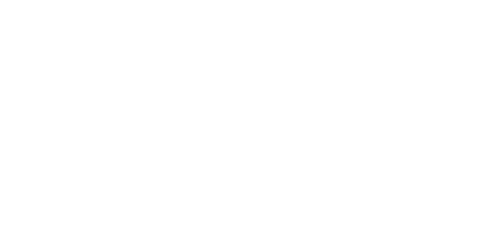 Casiny logo